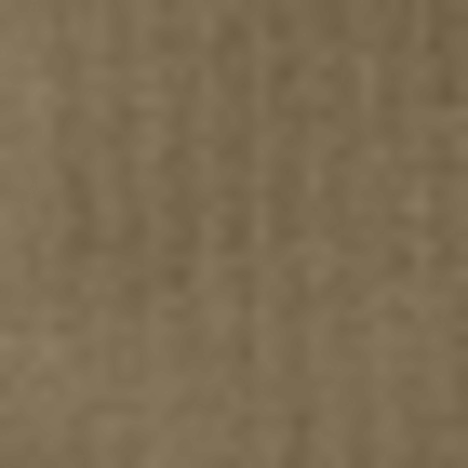 Coyote Brown